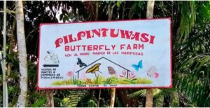 Butterfly house (Mariposario)